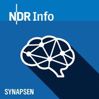 NDR-Info-Synapsen-Science-Slam